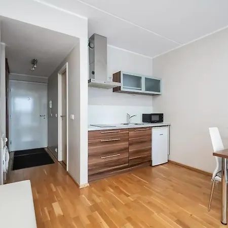 דירה Charming 1 Bedroom In The Heart Of טאלין